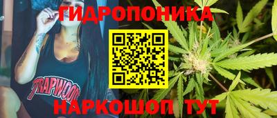 spice Тулун