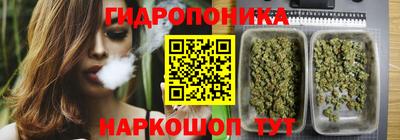 spice Тулун