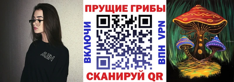купить наркотики сайты  Нурлат  Псилоцибиновые грибы прущие грибы 