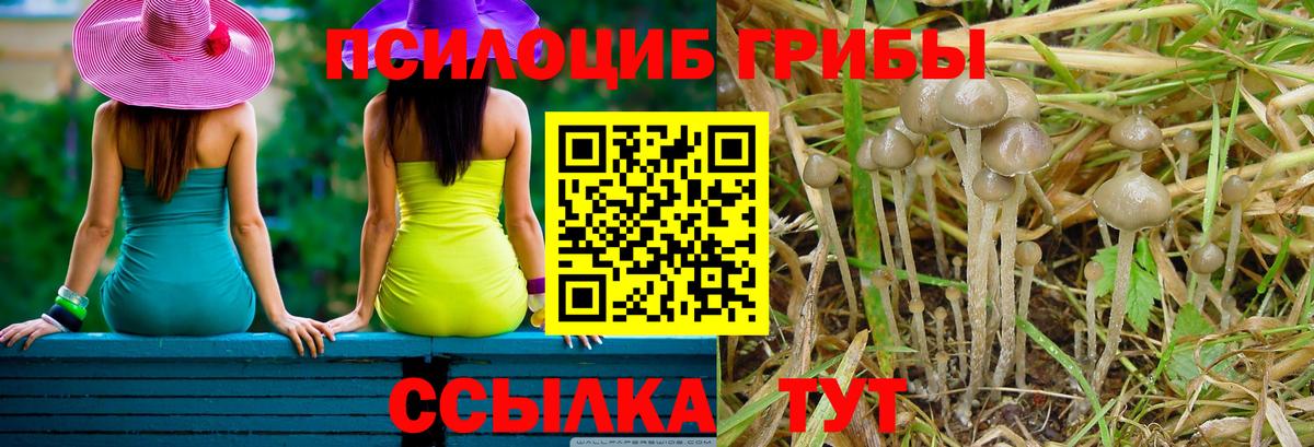 Псилоцибиновые грибы мухоморы Нурлат
