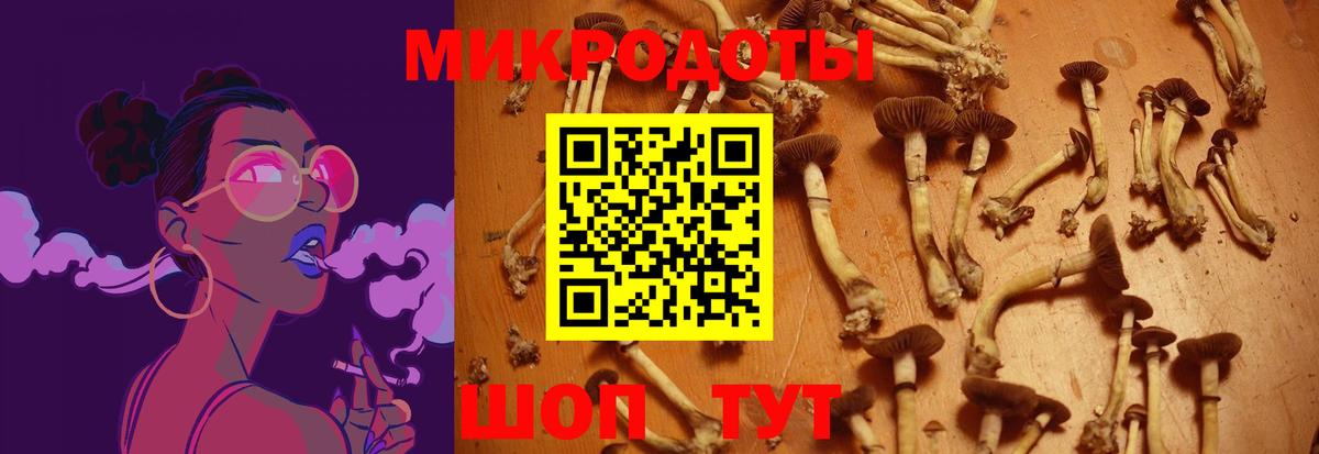 Псилоцибиновые грибы мицелий  Вход с VPN  хочу наркоту  Нурлат 
